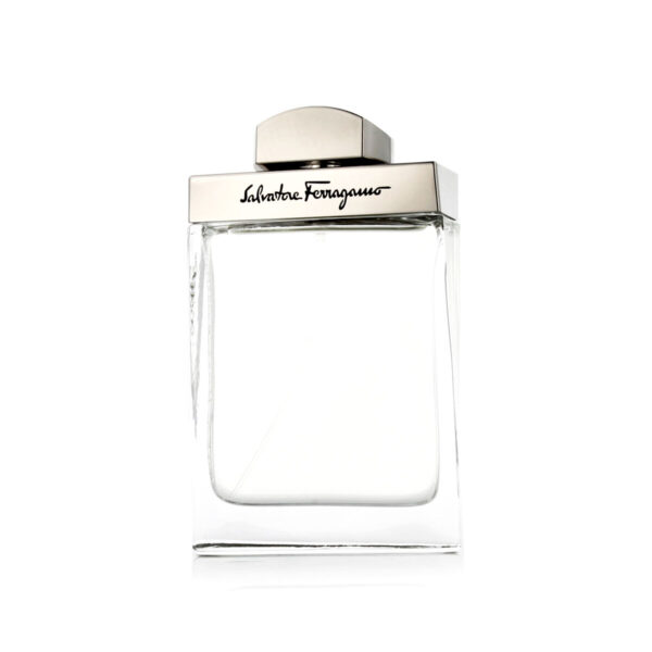 Salvatore Ferragamo M EdT 100 ml - LB1640217