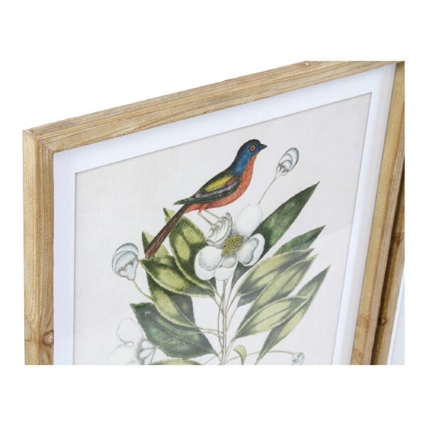 Πίνακας DKD Home Decor Bird Τροπικό Πουλιά (55 x 2,5 x 70 cm) (4 Μονάδες) - S3013588