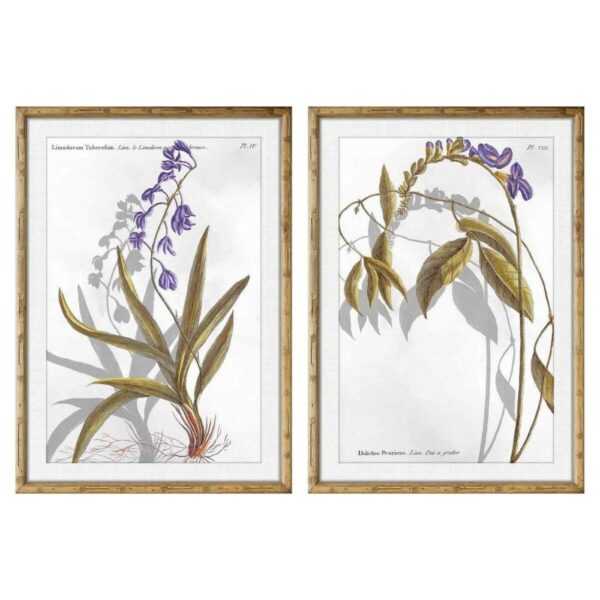 Πίνακας DKD Home Decor Blomster Σύγχρονη (50 x 2 x 70 cm) (x2) - S3018215