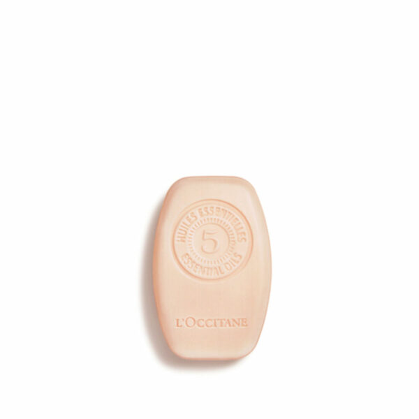 L'OCCITANE EN PROVENCE REPARACIÓN INTENSA champú sólido 60 gr - PARC-LO-418-60