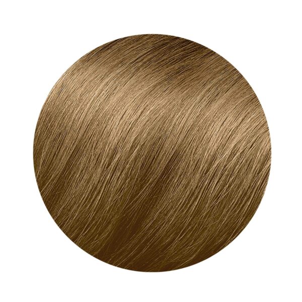 PHYTO COLOR coloration permanent #8.3-light golden blonde 3 u - PARS-P3-079-15