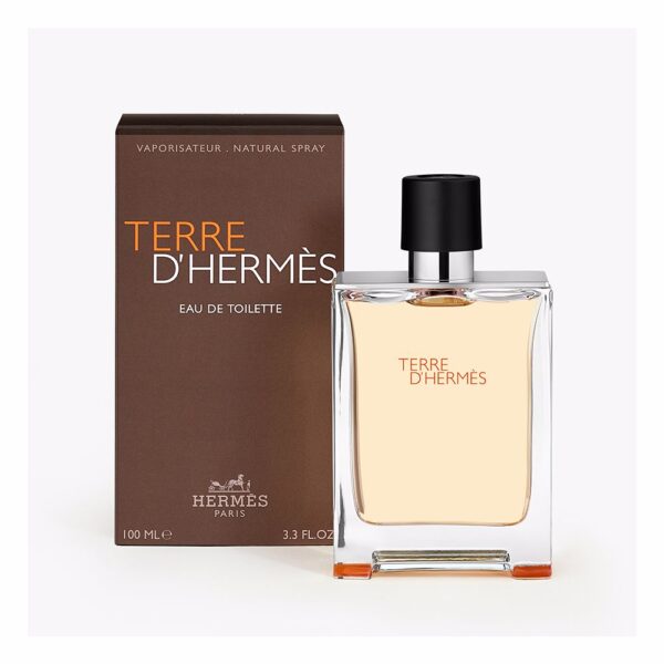 Hermès Terre d'Hermes M EdT 100 ml - PARP-HT-404-04