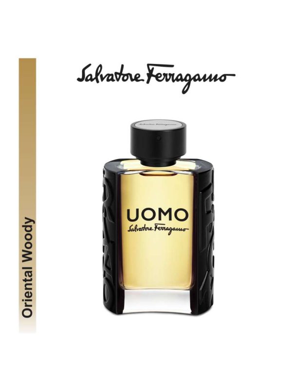 S. Ferragamo Uomo Pour Homme Edt Spray 100 ml - PARO-GI-404-01