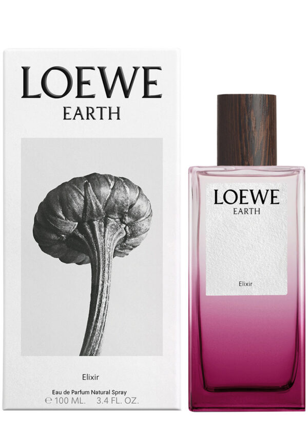 LOEWE EARTH ELIXIR edp vapo 100 ml - NVA7080651