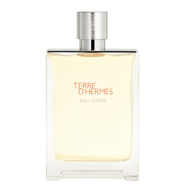 HERMÈS TERRE D'HERMÈS EAU GIVRÉE edp vapor refillable 175 ml - NVA0416135