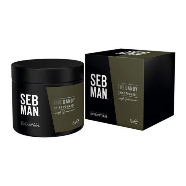 SEB MAN SEBMAN THE DANDY shiny pommade 75 ml - S8305318