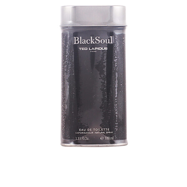 TED LAPIDUS BLACK SOUL eau de toilette spray 100 ml - PARK-PE-404-B1