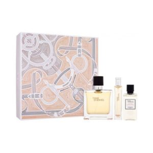 Hermes Men's Terre D'Hermes Pure Parfum Gift Set
