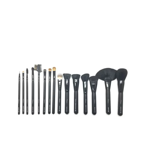 MOI PROFESSIONAL BRUSHES AND BRUSHES CASE 15 pcs - NVA2003364