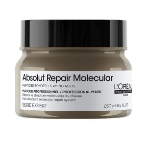 L'ORÉAL PROFESSIONNEL PARIS ABSOLUT REPAIR MOLECULAR mask for damaged hair 250 ml