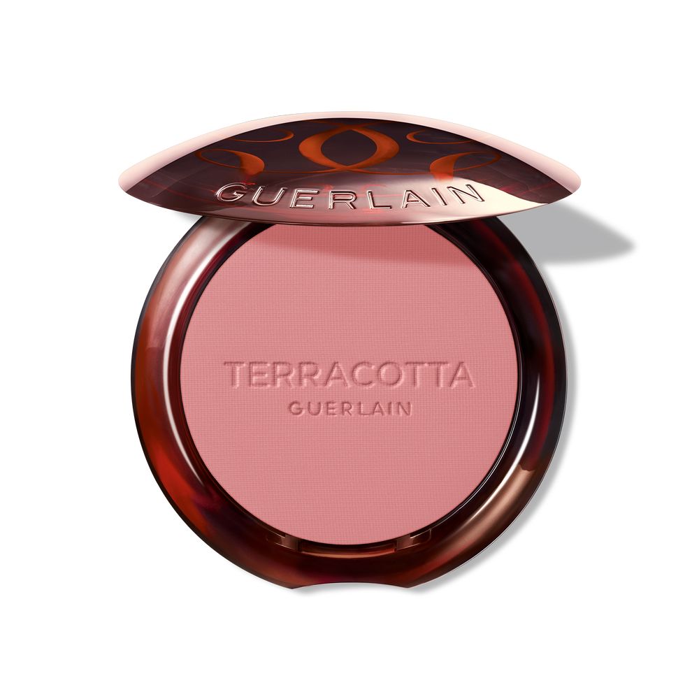 195249.jpg GUERLAIN TERRACOTTA BLUSH blush effect good face #01 1 u - Image 1