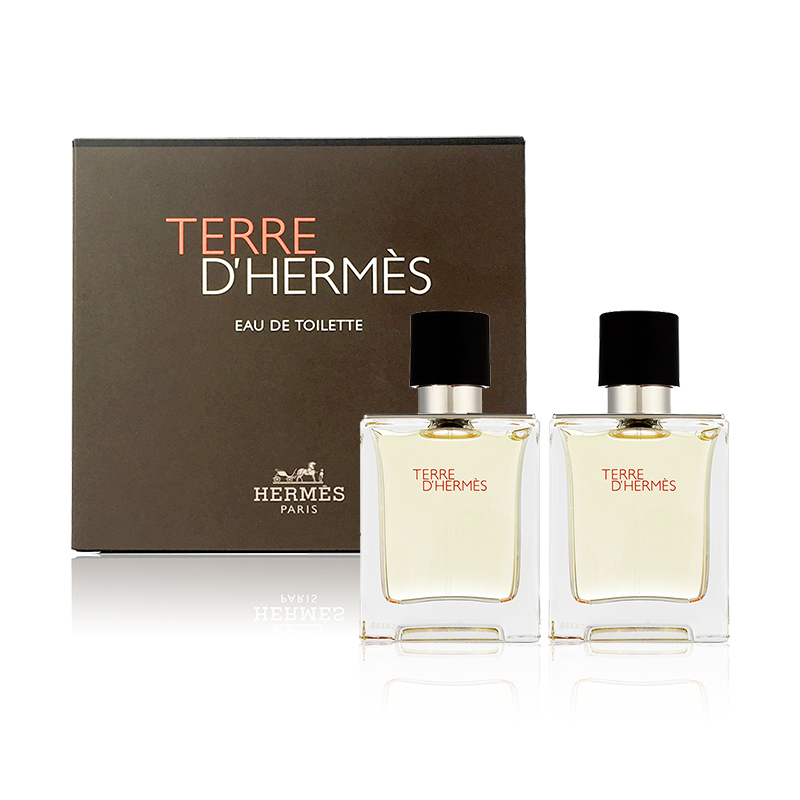 Hermes Terre D'Hermes Duo Set  100 ml