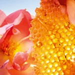 GUERLAIN LA PETITE ROBE NOIRE HONEY ROSE edp vapo 50 ml - Image 2