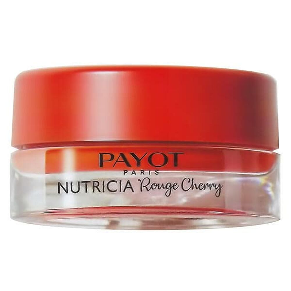 Payot Nutricia Enhancing Nourishing Lip Care  6 gr