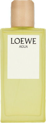 Loewe Agua Edt Spray  100 ml