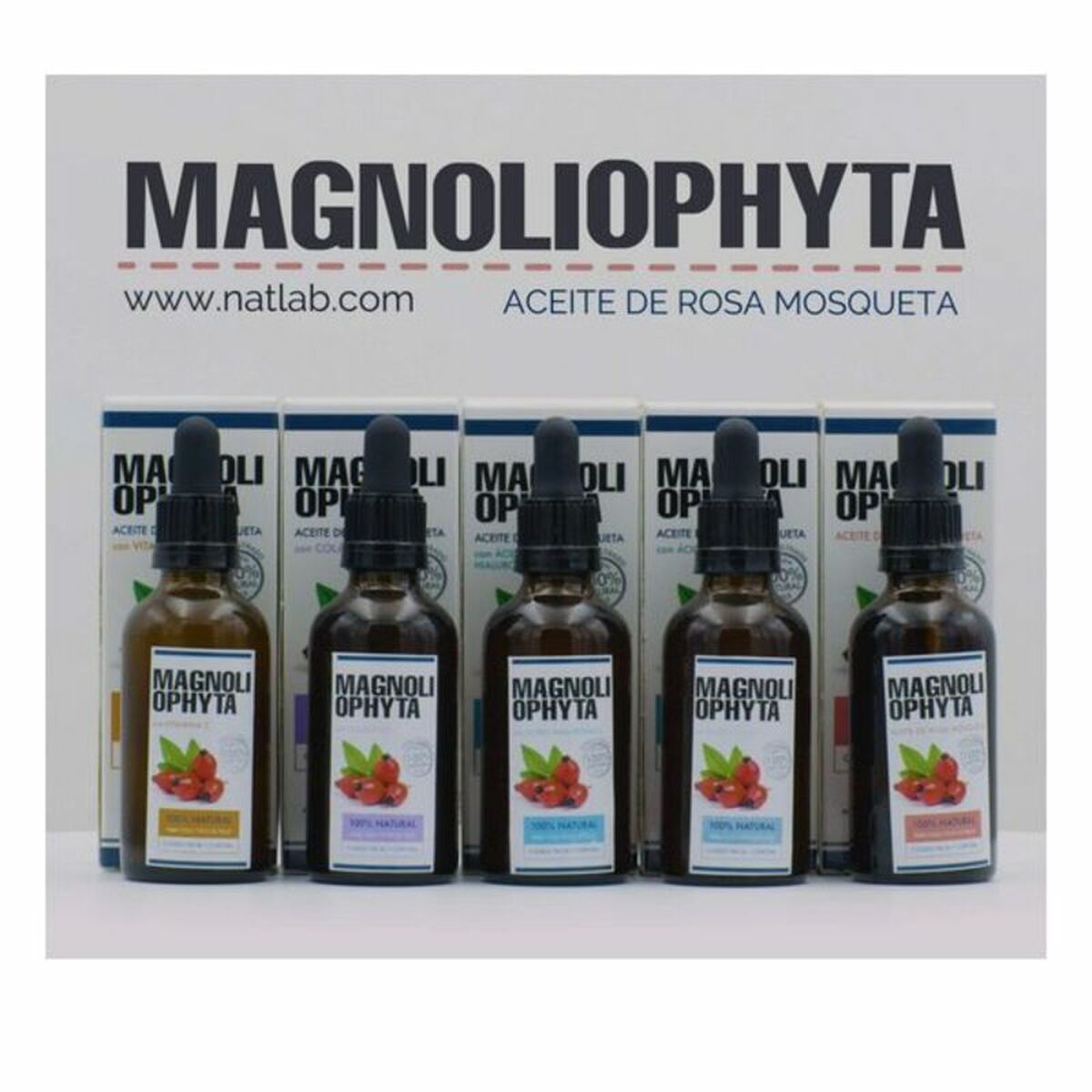 MAGNOLIOPHYTHA Φυσικό ΛΑΔΙ ΤΡΙΑΝΤΑΦΥΛΟΥ 50 ml σταγονόμετρο