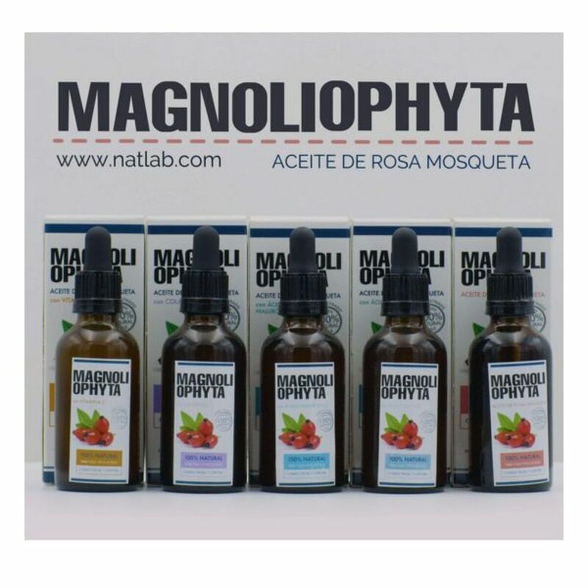 Magnoliophyta ROSEHIP OIL with hyaluronic acid  50 ml