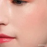 Bobbi Brown Pot Rouge Velvet Matte Creme Blush Muted Peach   8.5 g - Image 3