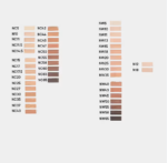 MAC Studio Radiance Concealer NC20   11 ml - Image 2