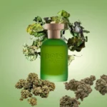 Bois 1920 Cannabis U EdP 100 ml - tester /2019 - Image 2