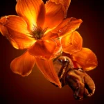 HUGO BOSS-BOSS THE SCENT FOR HER INTENSE edp vapo 50 ml - Image 3