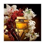 DOLCE & GABBANA THE ONE INTENSE edp vapo 30 ml - Image 2