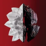 GIVENCHY L'INTERDIT ROUGE ULTIME edp vapo 50 ml - Image 3