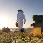 GUERLAIN ABEILLE ROYALE AQUEOUS TREATMENT OIL 4-piece SET Advanced Youth Aqueous Oil 50ml + Day Cream 15ml + Fortifying Lotion 15ml + Toiletry Bag - Image 5