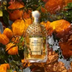 GUERLAIN AQUA ALLEGORIA MANDARINE BASILIC CASE 2 pcs Eau de Toilette spray 125 ml + Body lotion 75 ml - Image 2