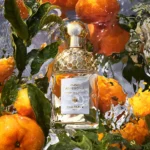GUERLAIN AQUA ALLEGORIA MANDARINE BASILIC CASE 2 pcs Eau de Parfum spray 75ml + Body lotion 75ml - Image 2