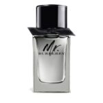 Mr. Burberry M EdT 100 ml - tester
