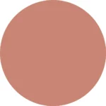 CATRICE PLUMPING lip liner #210-Perfect Stranger 0.35 gr - Image 4