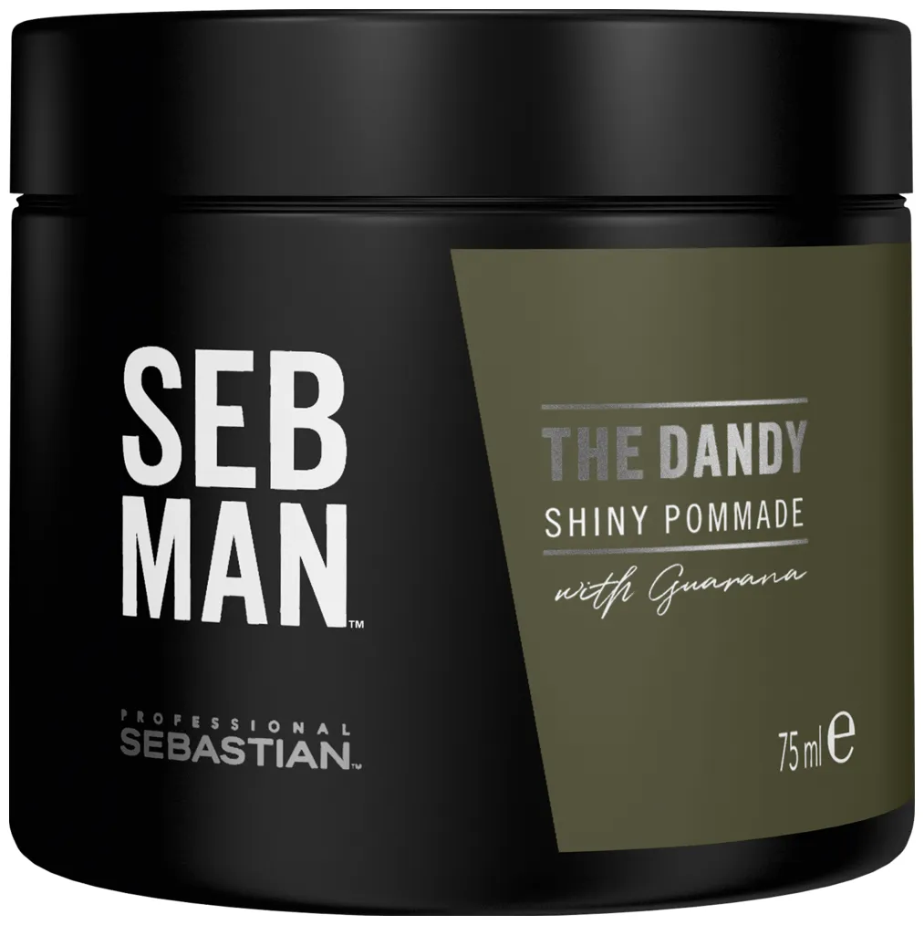 4064666214948.webp Sebastian Seb Man The Dandy Light Hold Pomade 75 ml - Image 1