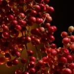 DOLCE & GABBANA THE ONE INTENSE edp vapo 50 ml - Image 3