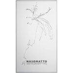 NASOMATTO SILVER MUSK extrait de parfum 30 ml