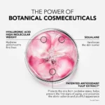 LIERAC GLOW FRESH Κρέμα για όγκο και λάμψη 50 ml - Image 4