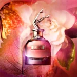 JEAN PAUL GAULTIER SCANDAL set EDP spray 80ml + Body lotion 75ml + EDP spray 6ml - Image 2